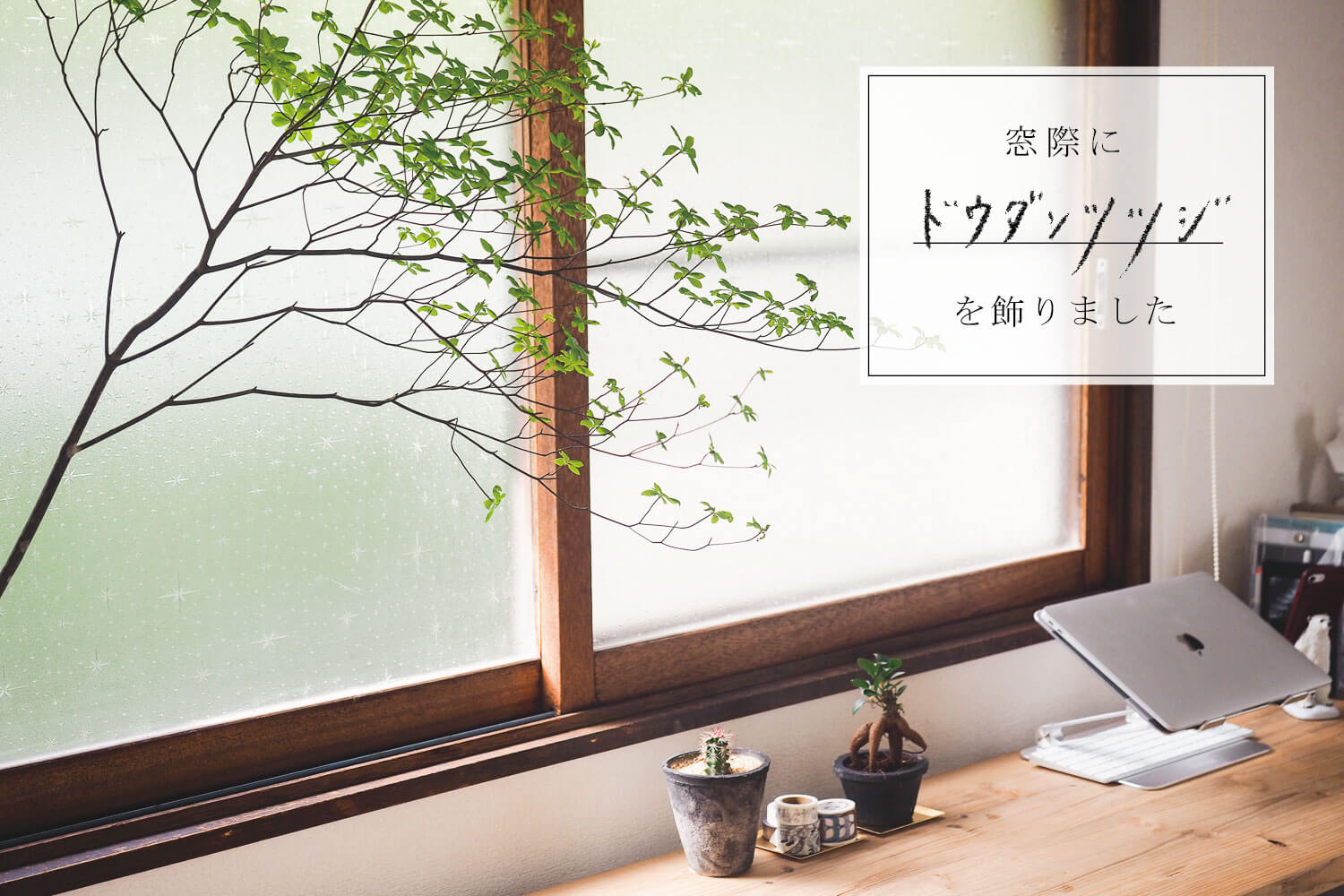 築50年の家の窓際 ドウダンツツジを飾りました トンカチワークス